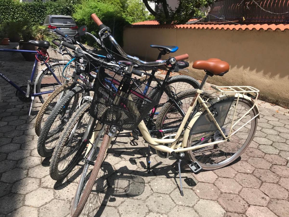 Lola Apartmani Rovinj Dış mekan fotoğraf